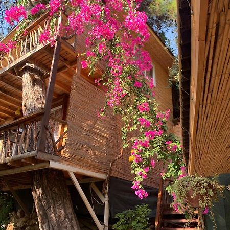 Large Bungalow With Sea View In Kabak Bay, Oeluedeniz Fethiye Exteriör bild