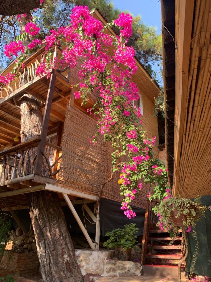 Large Bungalow With Sea View In Kabak Bay, Oeluedeniz Fethiye Exteriör bild