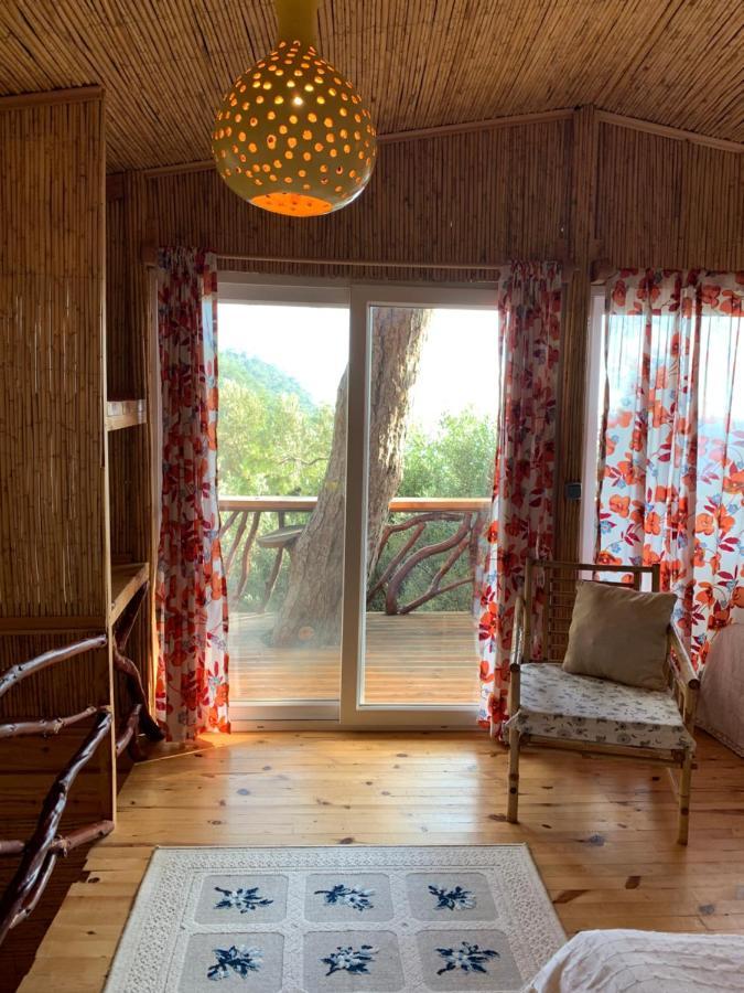 Large Bungalow With Sea View In Kabak Bay, Oeluedeniz Fethiye Exteriör bild