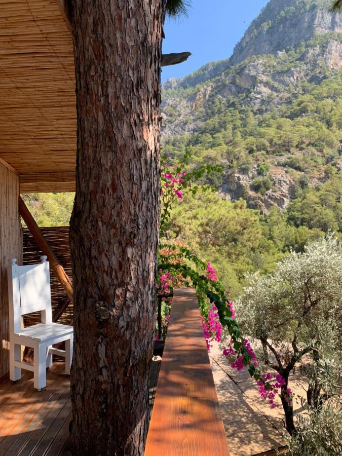 Large Bungalow With Sea View In Kabak Bay, Oeluedeniz Fethiye Exteriör bild